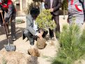 گزارش تصویری از آئیین درختکاری و تقدیر ازهمکاران فضای سبز دانشگاه